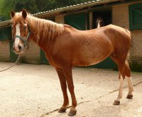 Tierschutzverein Viersen Tierschutzverein Viersen